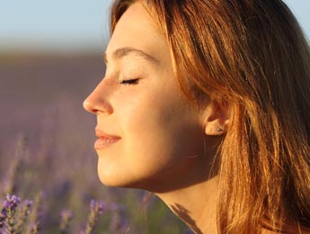 Paul Wilson Aesthetics - Difficulty In Breathing Through the Nose