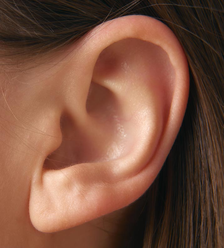 Paul Wilson Aesthetics - Ear Reshaping About